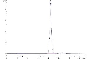 The purity of Mouse TGM2 is greater than 95 % as determined by SEC-HPLC. (Transglutaminase 2 Protein (AA 2-686) (His tag))