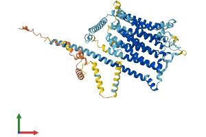 Protein Structure (PS) image for Transmembrane Channel-Like 4 (Tmc4) (AA 1-694) protein (His tag) (ABIN7558258)