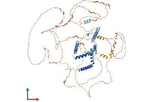 Protein Structure (PS) image for Reticulon 1 (RTN1) (AA 1-776) protein (His tag) (ABIN7551670)