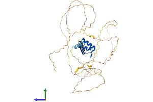 Protein Structure (PS) image for EVX1 (EVX1) (AA 1-416) protein (His tag) (ABIN7562981)