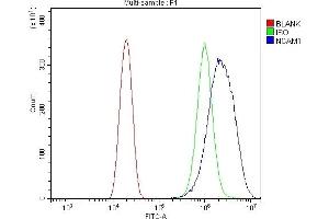 Flow Cytometry analysis of U20S cells using anti-NCAM1 antibody (ABIN7602512). (CD56 Antikörper  (AA 80-328))