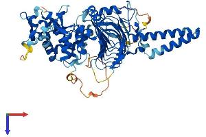 TBCCD1 Protein (AA 1-557) (His tag)