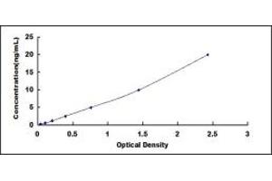 Typical standard curve (PKC alpha ELISA Kit)