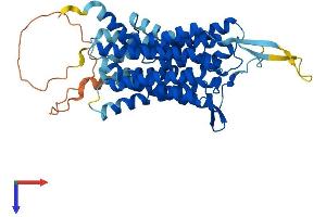 GPR172A Protein (AA 1-450) (His tag)