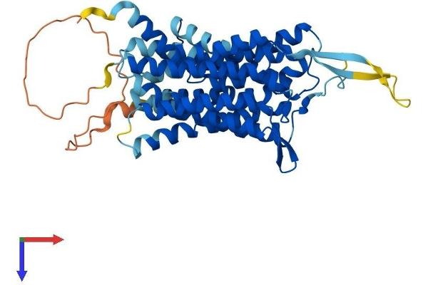 GPR172A Protein (AA 1-450) (His tag)