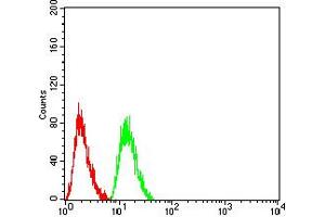 Flow Cytometry (FACS) image for anti-V-Akt Murine Thymoma Viral Oncogene Homolog 1 (AKT1) (AA 1-150) antibody (ABIN5856183) (AKT1 Antikörper  (AA 1-150))