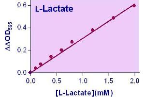 Biochemical Assay (BCA) image for Lactate Assay Kit (ABIN1000300) (Lactate Assay Kit)
