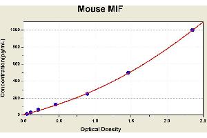 Macrophage Migration Inhibitory Factor (Glycosylation-Inhibiting Factor) (MIF) ELISA Kit