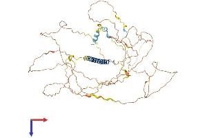 CRTC3 Protein (AA 1-619) (His tag)