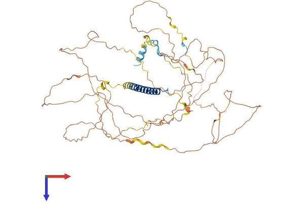 CRTC3 Protein (AA 1-619) (His tag)