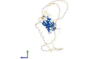 Protein Structure (PS) image for Transducer of ERBB2, 2 (TOB2) (AA 1-344) protein (His tag) (ABIN7544700)