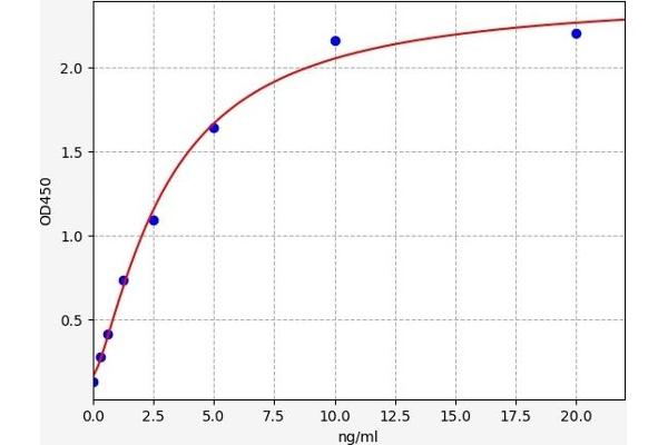 SMAD1 ELISA Kit