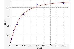 Typical standard curve (SMAD1 ELISA Kit)