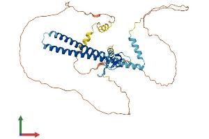 Protein Structure (PS) image for Inhibitor of Growth Family, Member 3 (ING3) (AA 1-421) protein (His tag) (ABIN7564758)