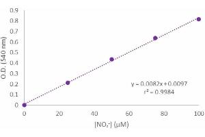 Typical standard curve (Nitrite Determination Assay Kit)
