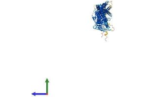 Protein Structure (PS) image for SEC14 and Spectrin Domains 1 (SESTD1) (AA 1-696) protein (His tag) (ABIN7564259)