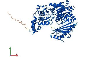 Protein Structure (PS) image for phosphoglucomutase 2-Like 1 (PGM2L1) (AA 1-621) protein (His tag) (ABIN7559214)