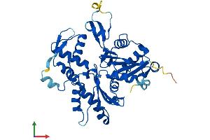 AlphaFold protein structure predicition of Mouse Recombinant Actr1b Protein, UniprotID Q8R5C5