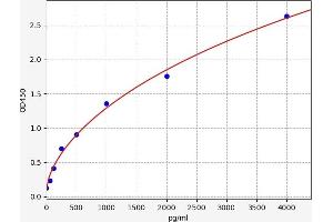 Chemokine (C-X-C Motif) Ligand 11 (CXCL11) ELISA Kit