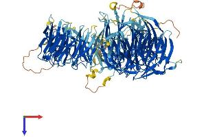 WDR6 Protein (AA 1-1121) (His tag)