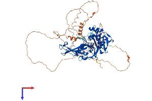 USP2 Protein (AA 1-605) (His tag)