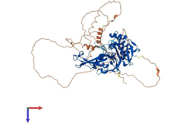 USP2 Protein (AA 1-605) (His tag)