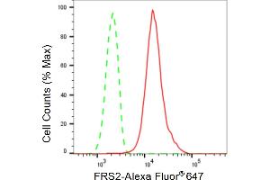 Flow cytometric analysis of FRS2 expression in HepG2 cells using FRS2 antibody (ABIN7798612), 1:2,000). (Rekombinanter FRS2 Antikörper)