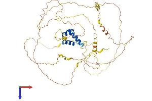 IRX3 Protein (AA 1-501) (His tag)