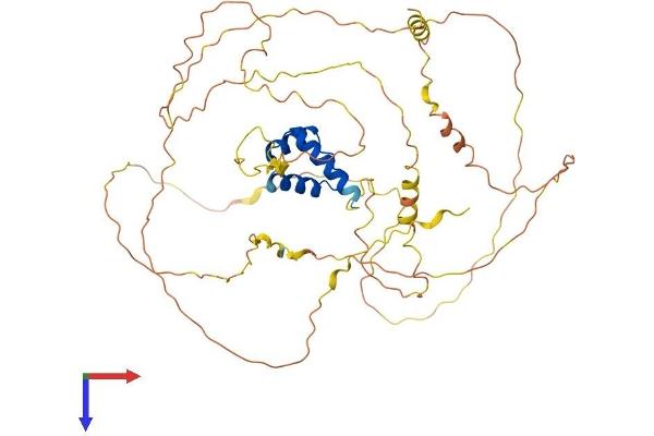 IRX3 Protein (AA 1-501) (His tag)