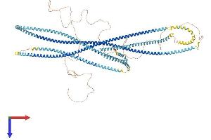 CCDC40 Protein (AA 1-1192) (His tag)