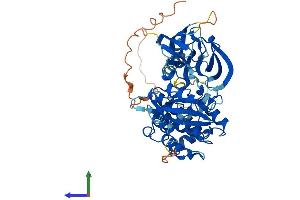 Protein Structure (PS) image for Fyn-Related Kinase (FRK) (AA 1-512) protein (His tag) (ABIN7560228)