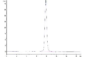 Size-exclusion chromatography-High Pressure Liquid Chromatography (SEC-HPLC) image for Neurotrophic Tyrosine Kinase, Receptor, Type 2 (NTRK2) (AA 32-430) protein (His tag) (ABIN7275744)