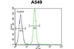 Flow Cytometry (FACS) image for anti-Heme Oxygenase (Decycling) 1 (HMOX1) (AA 184-212), (Middle Region) antibody (ABIN952705)