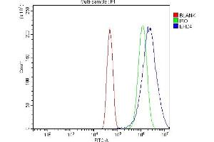 Flow Cytometry analysis of U251 cells using anti-EHD4 antibody (ABIN7599824).