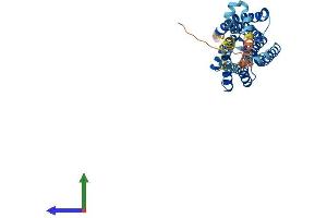Protein Structure (PS) image for Leukotriene B4 Receptor (LTB4R) (AA 1-351) protein (His tag) (ABIN7562676)