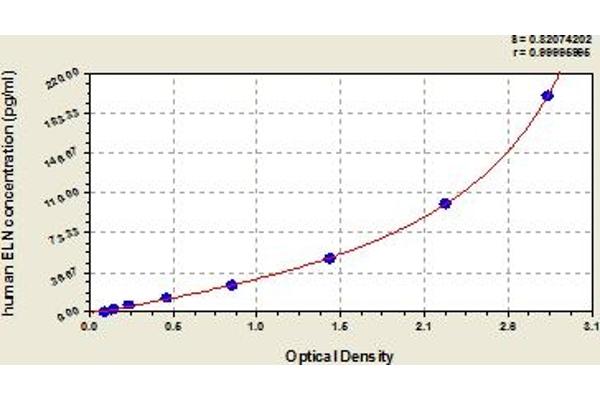 Elastin ELISA Kit