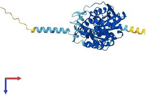 ABHD2 Protein (AA 1-425) (His tag)