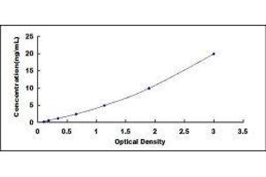 Typical standard curve (CYFRA21.1 ELISA Kit)
