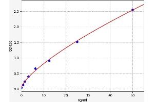 HSF1 ELISA Kit