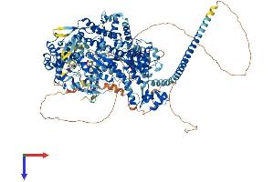 MYO3B Protein (AA 1-1305) (His tag)