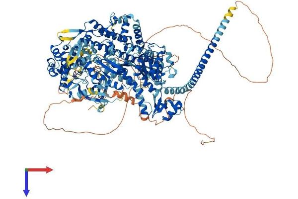 MYO3B Protein (AA 1-1305) (His tag)