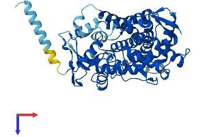 AlphaFold protein structure predicition of Mouse Recombinant Cyp2c55 Protein, UniprotID Q9D816 (CYP2C55 Protein (AA 1-490) (His tag))