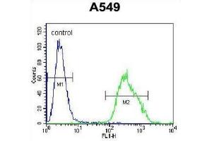 Flow Cytometry (FACS) image for anti-Paralemmin 3 (PALM3) antibody (ABIN2996355) (PALM3 Antikörper)