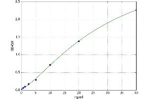 A typical standard curve