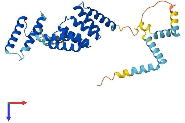 SGTB Protein (AA 1-304) (His tag)