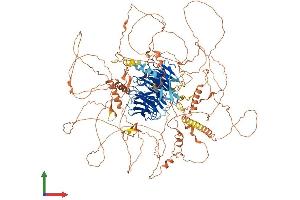 Protein Structure (PS) image for Autophagy/beclin-1 Regulator 1 (AMBRA1) (AA 1-1298) protein (His tag) (ABIN7552115)