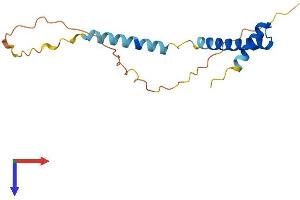 AlphaFold protein structure predicition of Human Recombinant EID2B Protein, UniprotID Q96D98