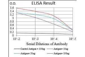 Black line: Control Antigen (100 ng), Purple line: Antigen(10 ng), Blue line: Antigen (50 ng), Red line: Antigen (100 ng),