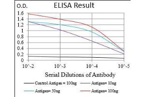 Black line: Control Antigen (100 ng), Purple line: Antigen(10 ng), Blue line: Antigen (50 ng), Red line: Antigen (100 ng), (CD45 Antikörper  (AA 928-989))