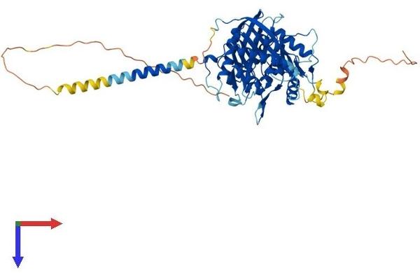 PLD5 Protein (AA 1-536) (His tag)